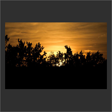 IMG_1640