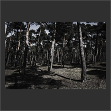 threewood