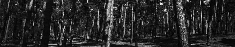 threewood